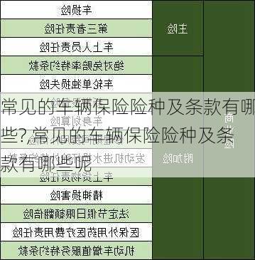 常见的车辆保险险种及条款有哪些?,常见的车辆保险险种及条款有哪些呢