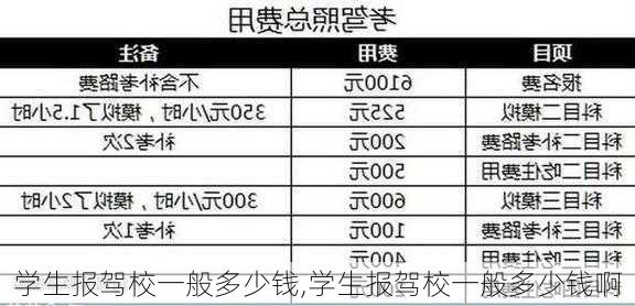 学生报驾校一般多少钱,学生报驾校一般多少钱啊