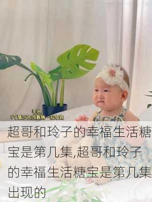 超哥和玲子的幸福生活糖宝是第几集,超哥和玲子的幸福生活糖宝是第几集出现的