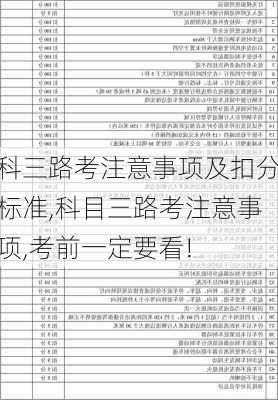 科三路考注意事项及扣分标准,科目三路考注意事项,考前一定要看!