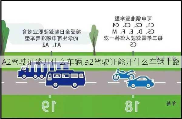 A2驾驶证能开什么车辆,a2驾驶证能开什么车辆上路