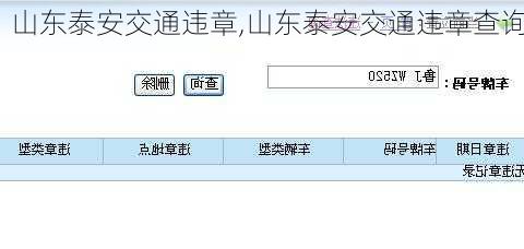 山东泰安交通违章,山东泰安交通违章查询