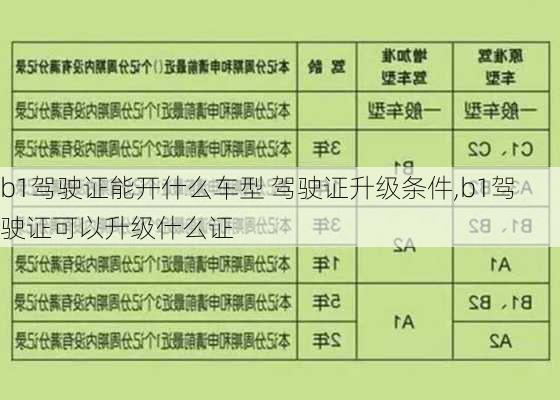 b1驾驶证能开什么车型 驾驶证升级条件,b1驾驶证可以升级什么证