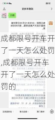 成都限号开车开了一天怎么处罚,成都限号开车开了一天怎么处罚的