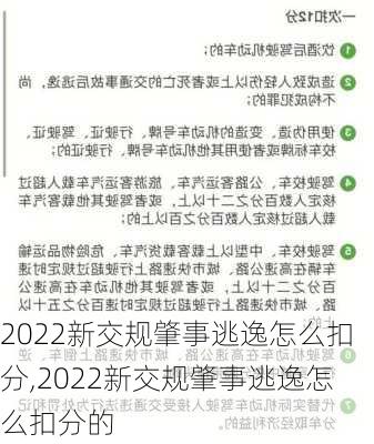 2022新交规肇事逃逸怎么扣分,2022新交规肇事逃逸怎么扣分的