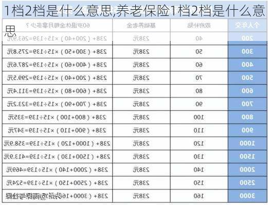 1档2档是什么意思,养老保险1档2档是什么意思