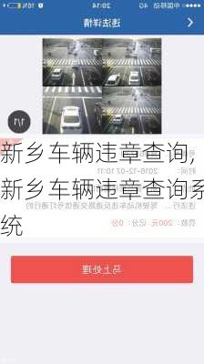 新乡车辆违章查询,新乡车辆违章查询系统