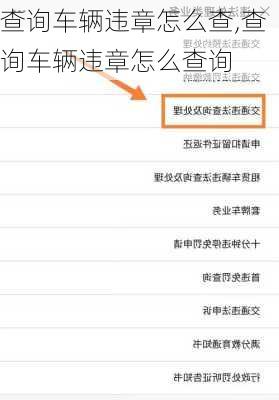 查询车辆违章怎么查,查询车辆违章怎么查询