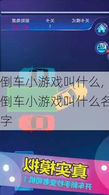 倒车小游戏叫什么,倒车小游戏叫什么名字