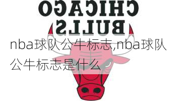 nba球队公牛标志,nba球队公牛标志是什么