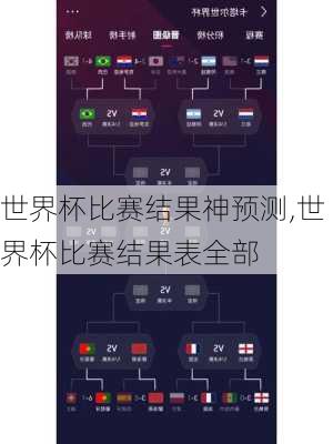 世界杯比赛结果神预测,世界杯比赛结果表全部