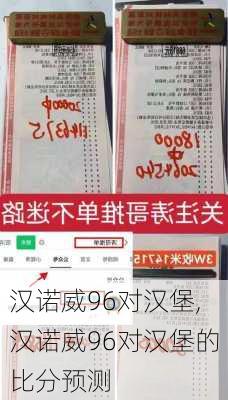 汉诺威96对汉堡,汉诺威96对汉堡的比分预测