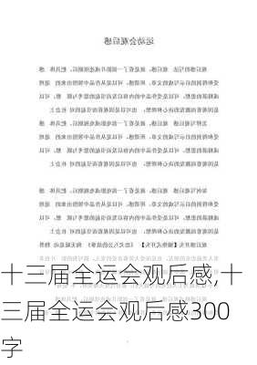 十三届全运会观后感,十三届全运会观后感300字