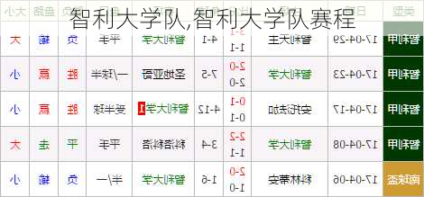 智利大学队,智利大学队赛程