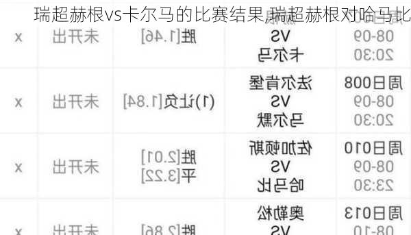 瑞超赫根vs卡尔马的比赛结果,瑞超赫根对哈马比