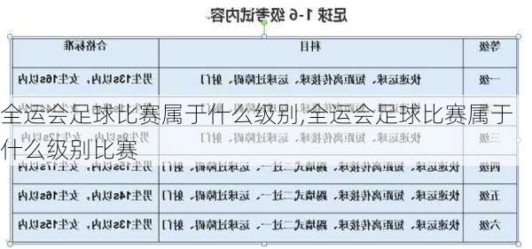 全运会足球比赛属于什么级别,全运会足球比赛属于什么级别比赛