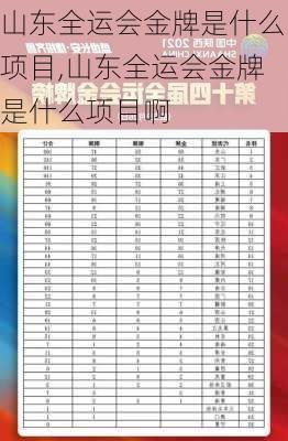 山东全运会金牌是什么项目,山东全运会金牌是什么项目啊