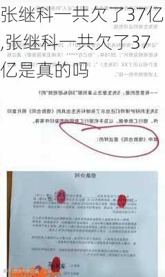 张继科一共欠了37亿,张继科一共欠了37亿是真的吗