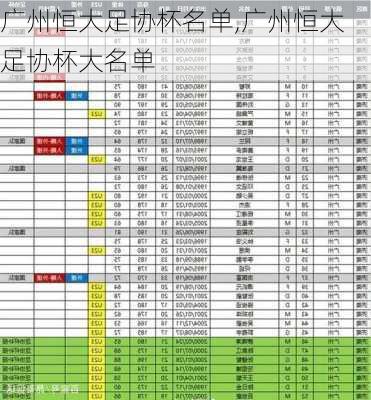 广州恒大足协杯名单,广州恒大足协杯大名单