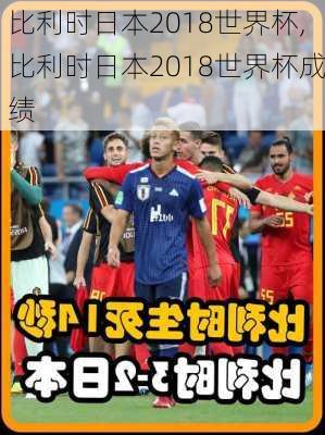 比利时日本2018世界杯,比利时日本2018世界杯成绩