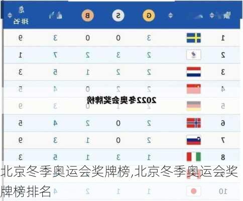 北京冬季奥运会奖牌榜,北京冬季奥运会奖牌榜排名