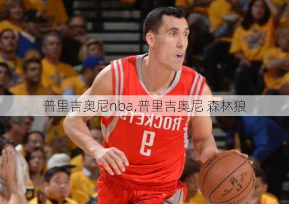 普里吉奥尼nba,普里吉奥尼 森林狼