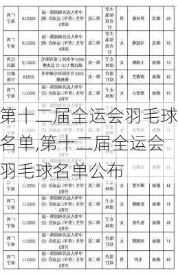 第十二届全运会羽毛球名单,第十二届全运会羽毛球名单公布