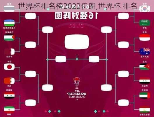 世界杯排名榜2022伊朗,世界杯 排名